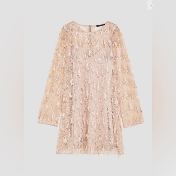 ZARA BLUSH SEQUIN FRINGE DRESS - Picture 5 of 8